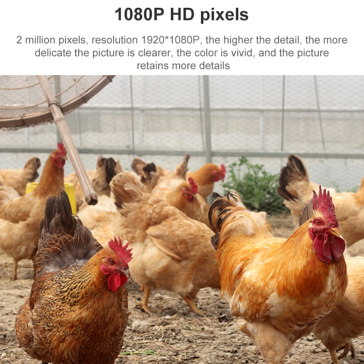 QX5 4G (EU Version) 2.0 Million Pixels 1080P HD 20X Zoom Dome Smart Camera, Support Infrared Night Vision / Motion Detection / Voice Intercom / TF Card, US Plug