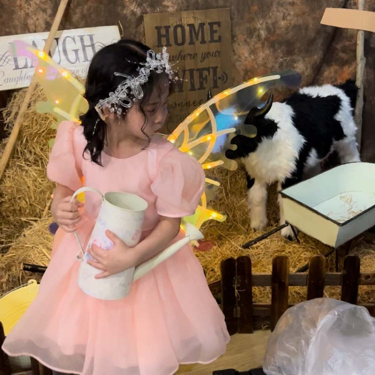 Rockwoo R01 DIY Electric Butterfly Elf Wings Toy With Light