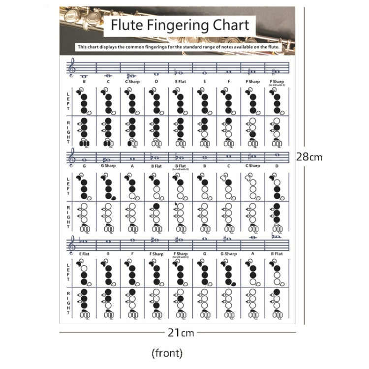 Coated Paper Flute Chord Fingering Practice Chart Staff Chord Fingering(Small)