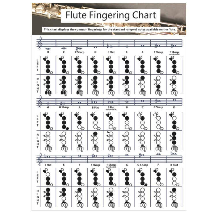 Coated Paper Flute Chord Fingering Practice Chart Staff Chord Fingering(Large)