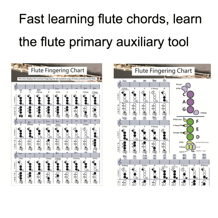 Coated Paper Flute Chord Fingering Practice Chart Staff Chord Fingering(Small)