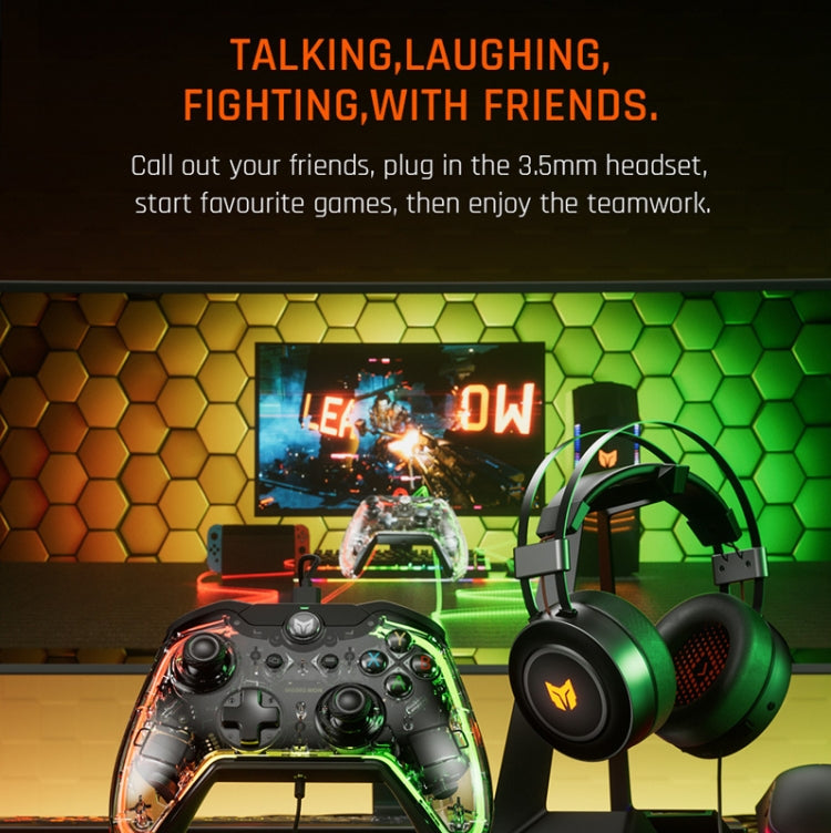 BIGBIGWON C1 S RGB Light Wired Gamepad Controller For PC/Switch