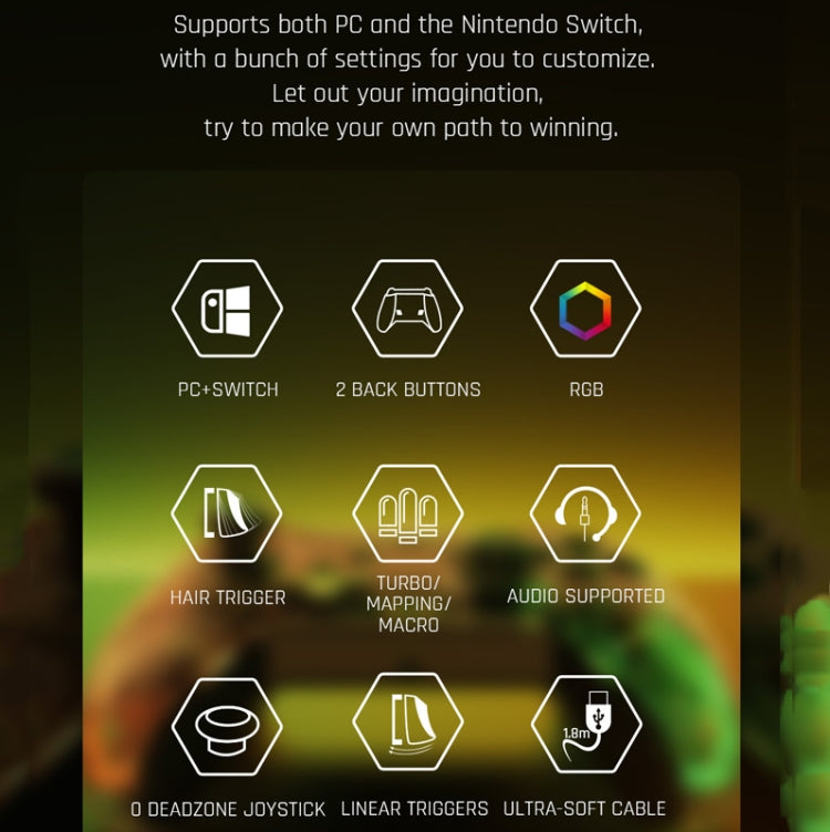 BIGBIGWON C1 S RGB Light Wired Gamepad Controller For PC/Switch