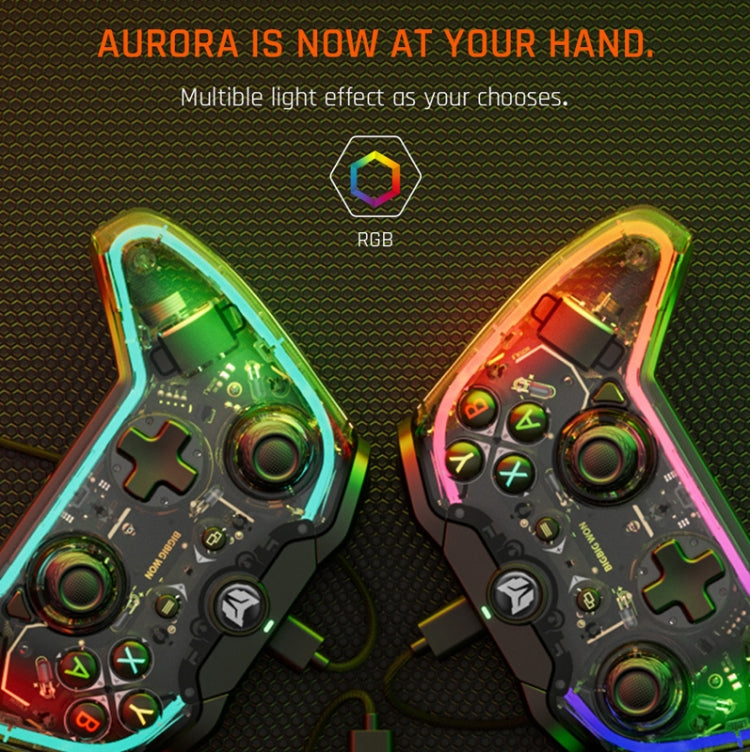 BIGBIGWON C1 S RGB Light Wired Gamepad Controller For PC/Switch