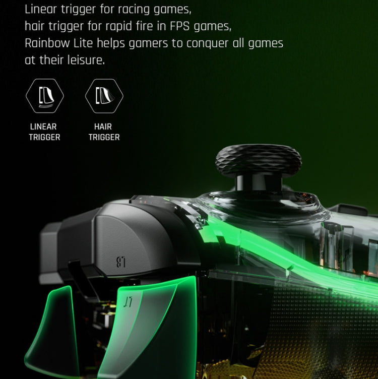 BIGBIGWON C1 S RGB Light Wired Gamepad Controller For PC/Switch