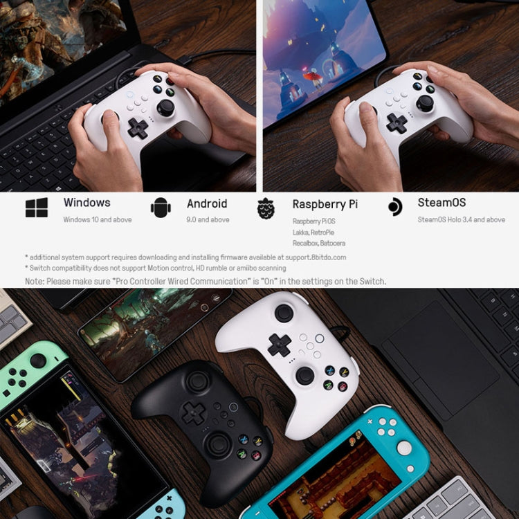 8BitDo For Switch / PC USB Wired Gamepad(Black)