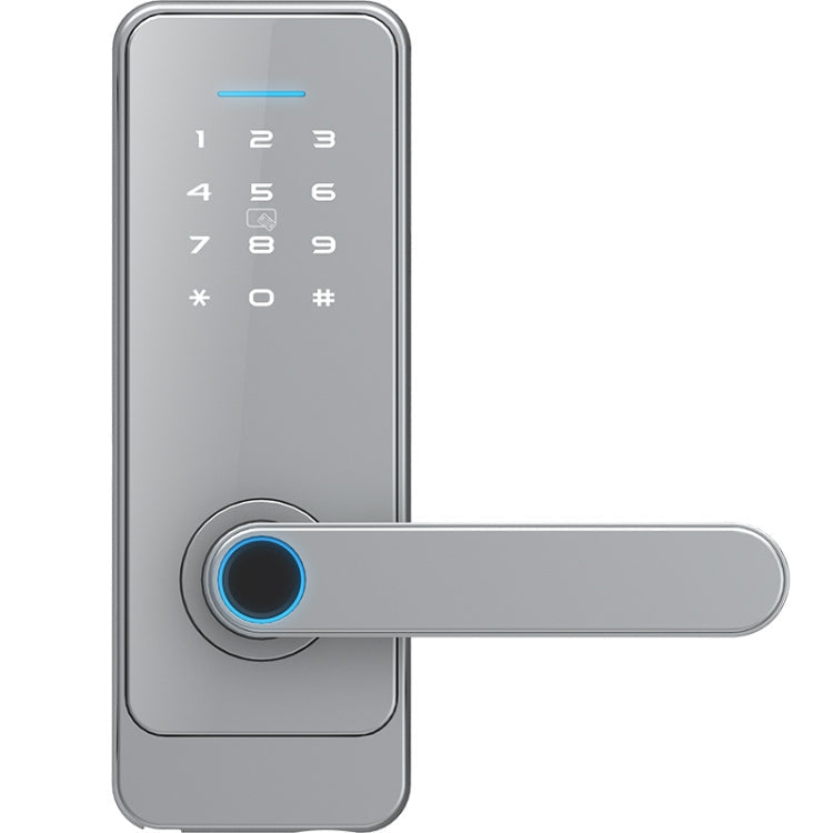 C89 Smart Fingerprint Password Lock Home Indoor Door TUYA System Lock(Silver)