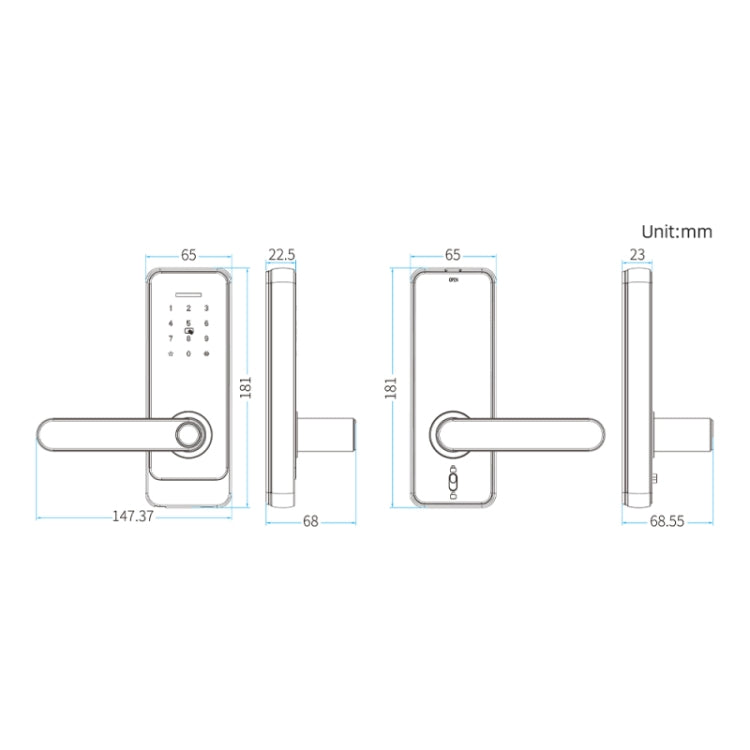 C89 Smart Fingerprint Password Lock Home Indoor Door TUYA System Lock(Black)
