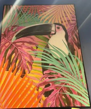 FRAME FLUO TOUCAN FRAMED PRINT 48 by 36 Approx