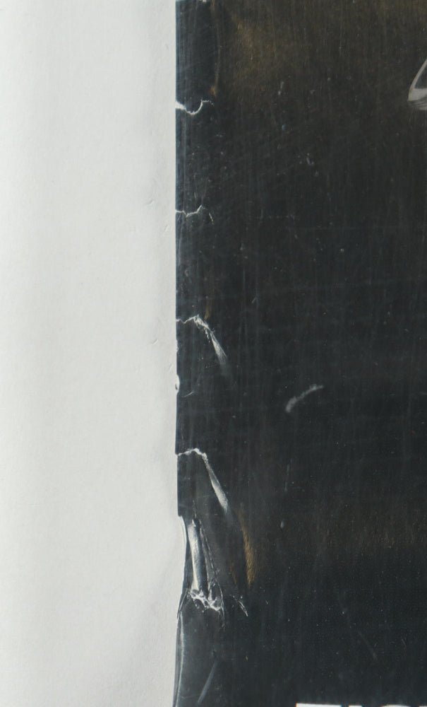 "UFC Lightweight Bout: Maynard vs Diaz" LE 27x39 Poster Signed By (20) With Nate Diaz, Gray Maynard, Michael Wootten, Raquel Pennington (UFC)